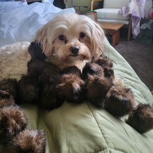 Faux Furry Ball Scarf